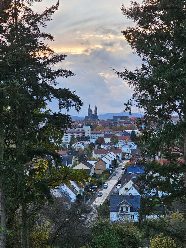 Der Dom vom Roten Rain aus betrachtet